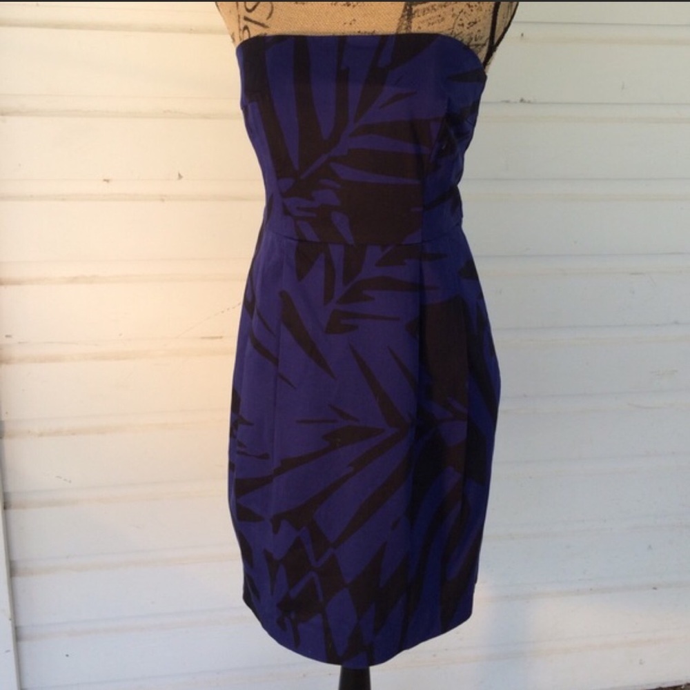 Express Strapless Dress